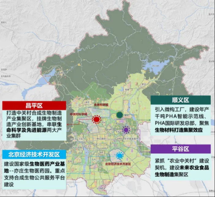 澳门六六之家